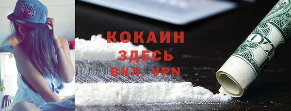гидра Белокуриха