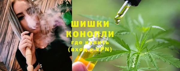 гидра Белокуриха