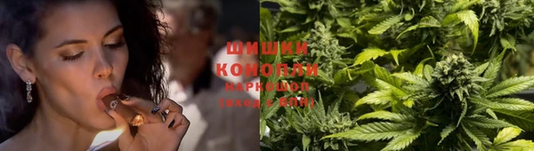 гидра Белокуриха