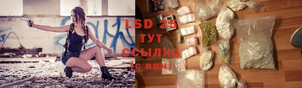 гидра Белокуриха