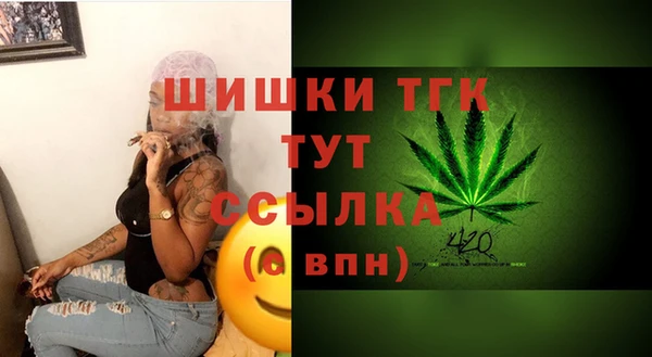 гидра Белокуриха