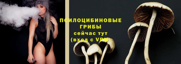 гидра Белокуриха