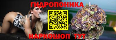 гидропоника Заволжье