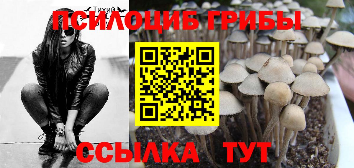 Галлюциногенные грибы Magic Shrooms Конаково