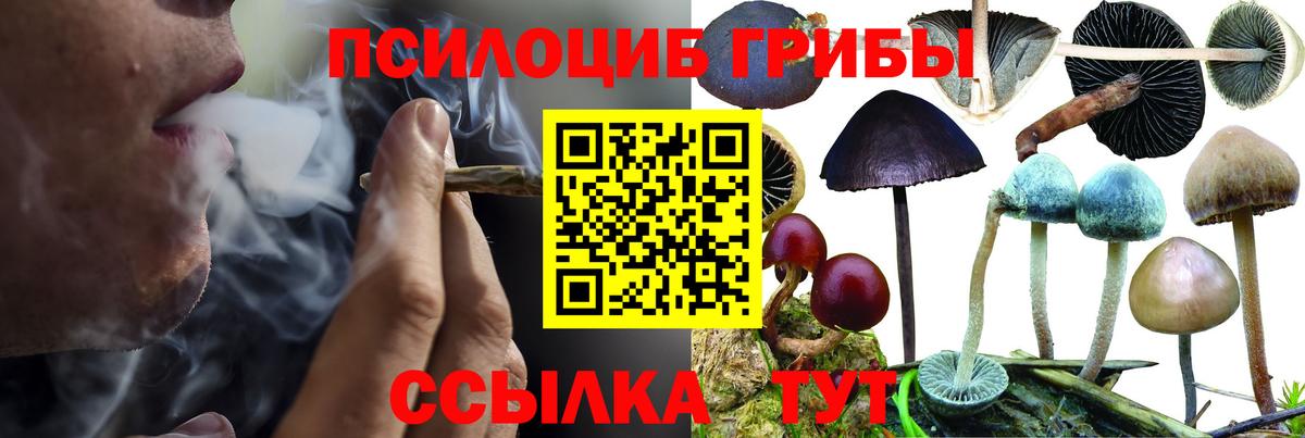 Псилоцибиновые грибы GOLDEN TEACHER  Галлюциногенные грибы Cubensis  Конаково  Вход с VPN 
